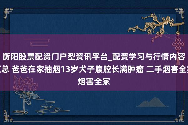 衡阳股票配资门户型资讯平台_配资学习与行情内容汇总 爸爸在家抽烟13岁犬子腹腔长满肿瘤 二手烟害全家
